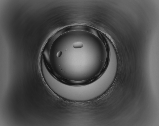 X0000095931480200801111245