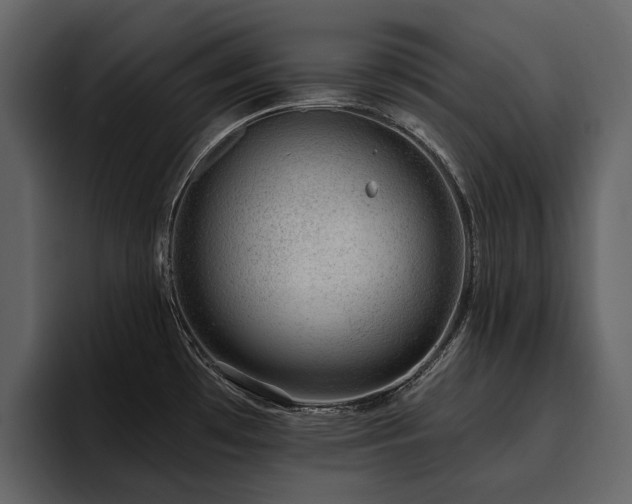 X0000095931481200801111245