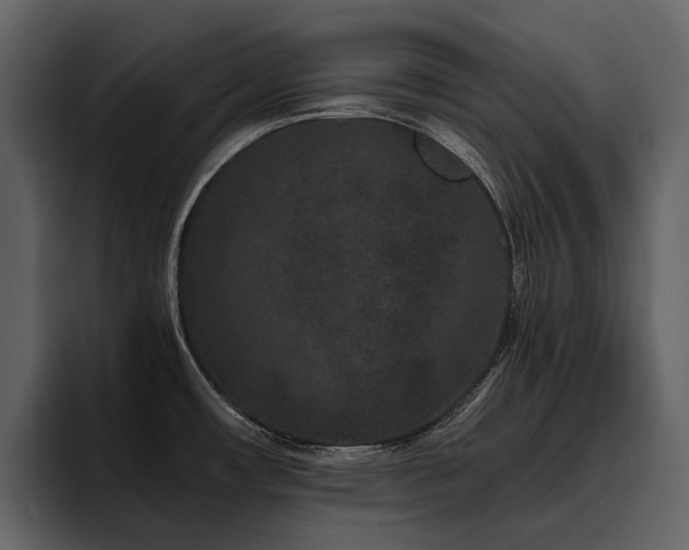 X0000095931482200801111245
