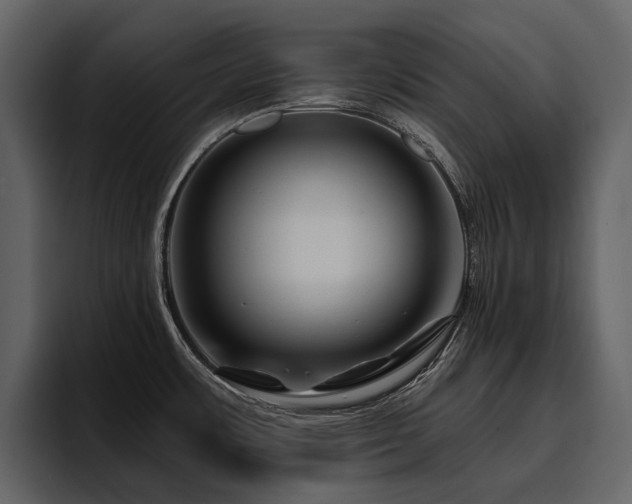 X0000095931483200801111245