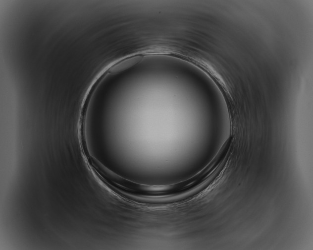 X0000095931484200801111245