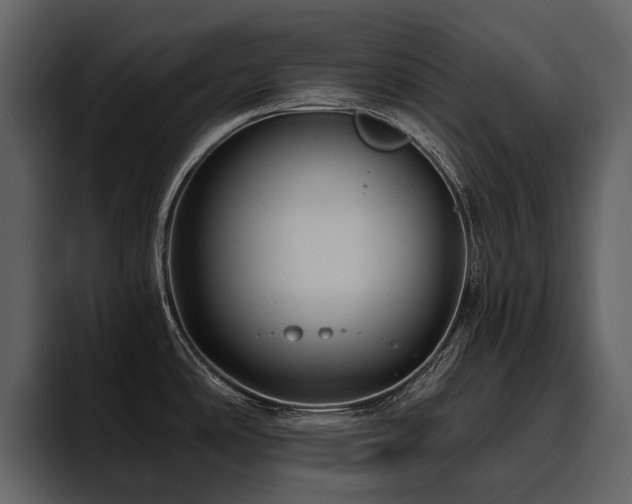 X0000095931486200801111245