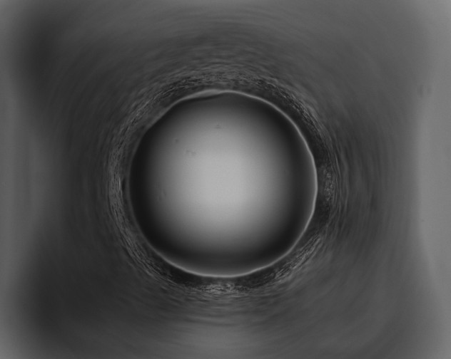 X0000095931489200801111244