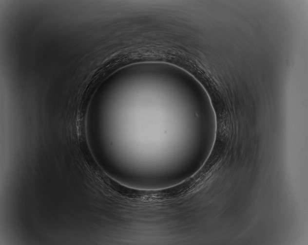 X0000095931490200801111244