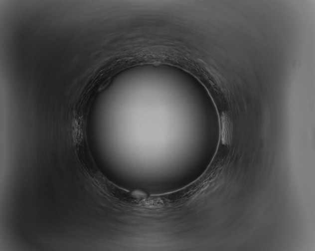 X0000095931491200801111244