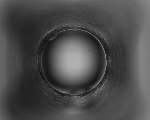 X0000095931494200801111244