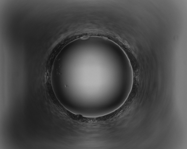 X0000095931495200801111244