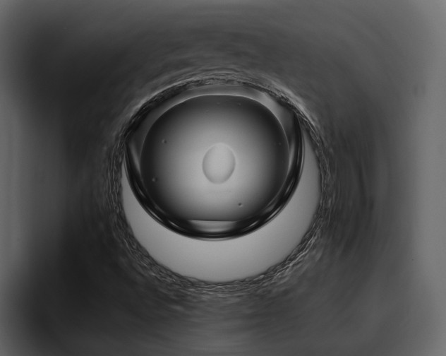 X0000095931496200801111244