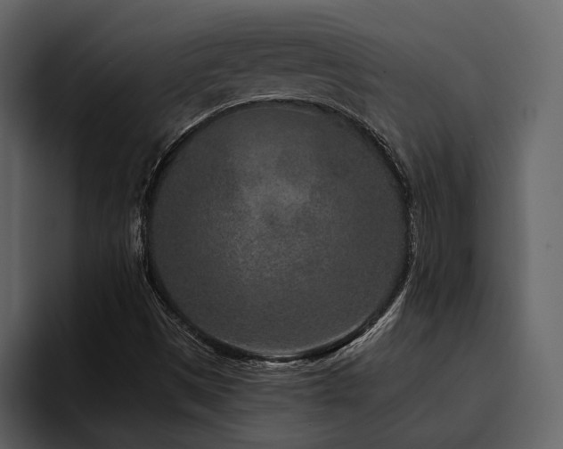 X0000095931497200801111244