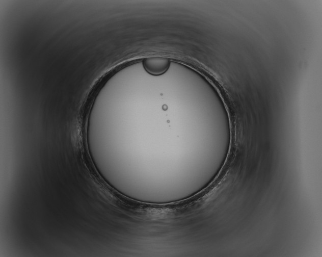 X0000095931498200801111244