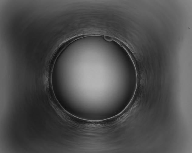 X0000095931499200801111244