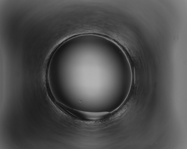 X0000095931500200801111244