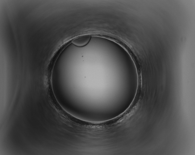 X0000095931501200801111244
