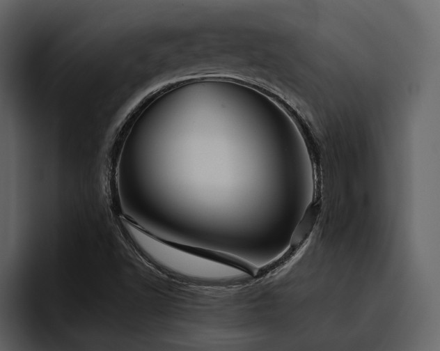 X0000095931502200801111244