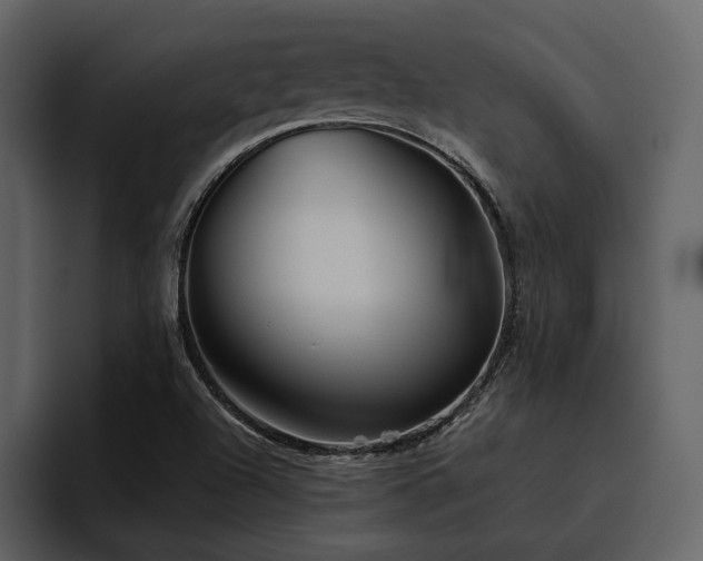 X0000095931504200801111245
