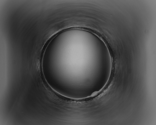X0000095931505200801111245