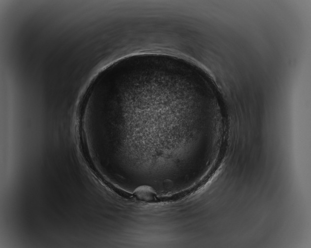 X0000095931506200801111245