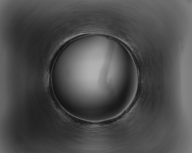 X0000095931507200801111245