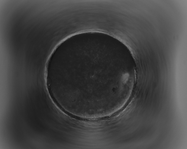 X0000095931508200801111245