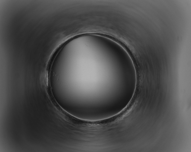 X0000095931509200801111245