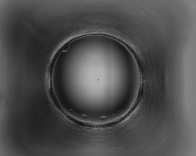 X0000095931510200801111245