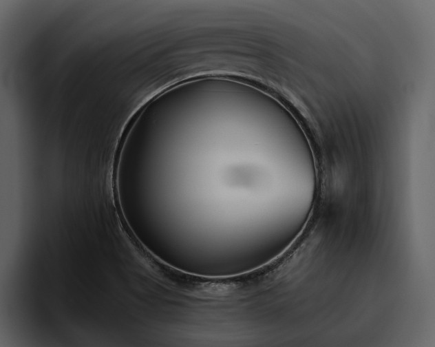 X0000095931513200801111245