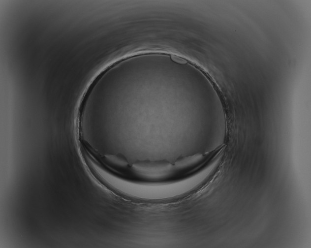 X0000095931519200801111245
