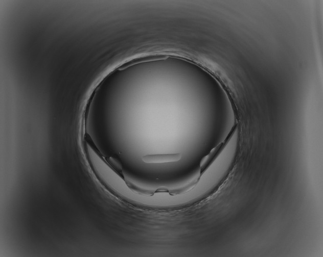 X0000095931520200801111245