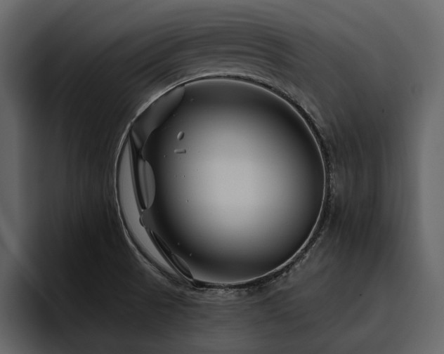 X0000095931521200801111245