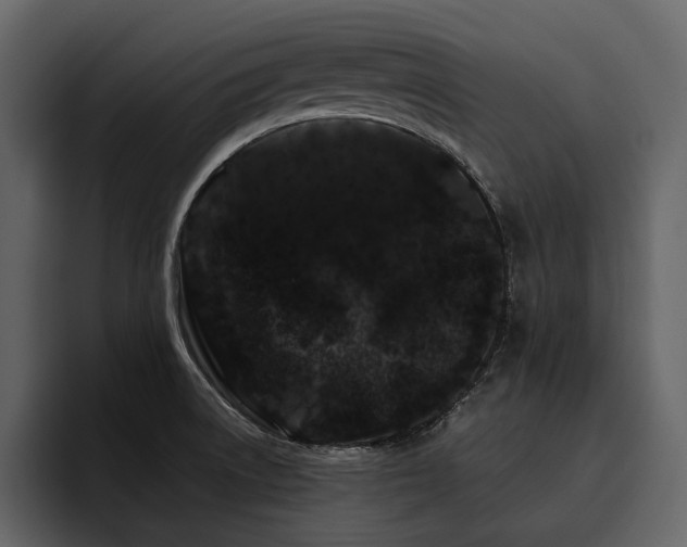 X0000095931522200801111245
