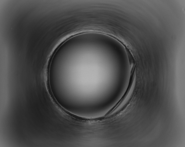 X0000095931523200801111245