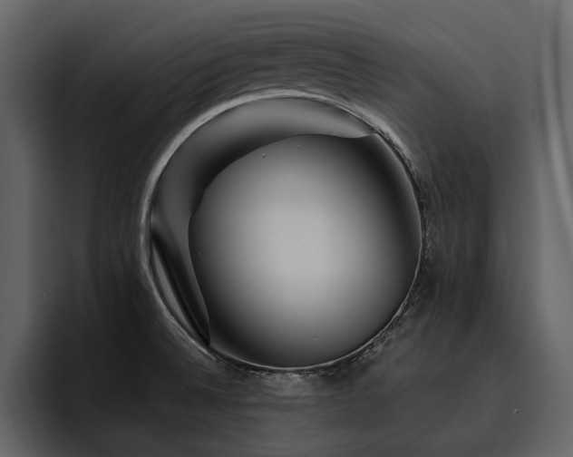 X0000095931524200801111245