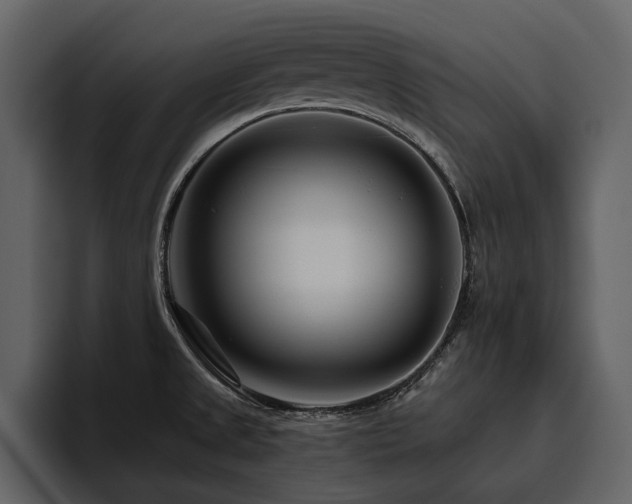 X0000095931525200801111245
