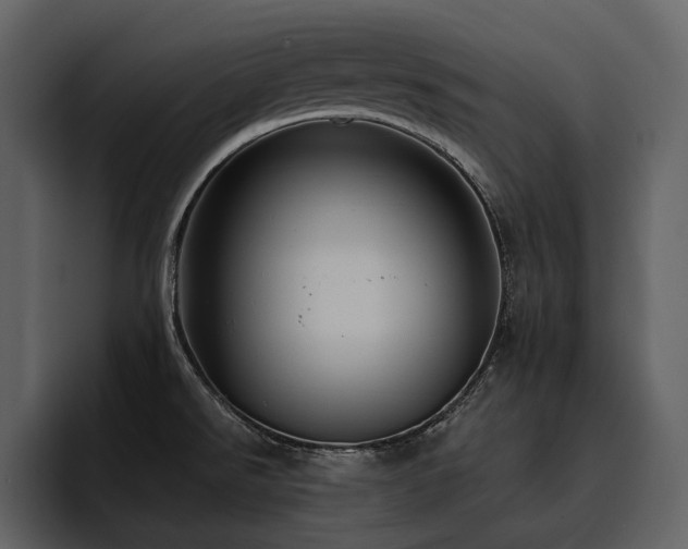 X0000095931526200801111245