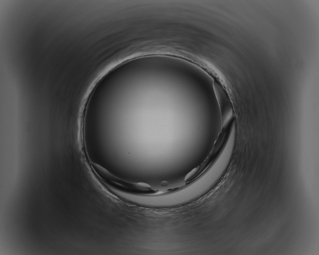 X0000095931528200801111245