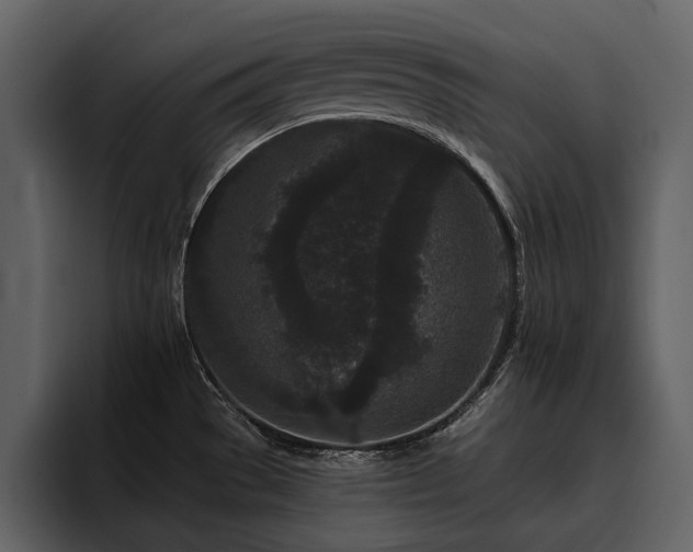 X0000095931529200801111245
