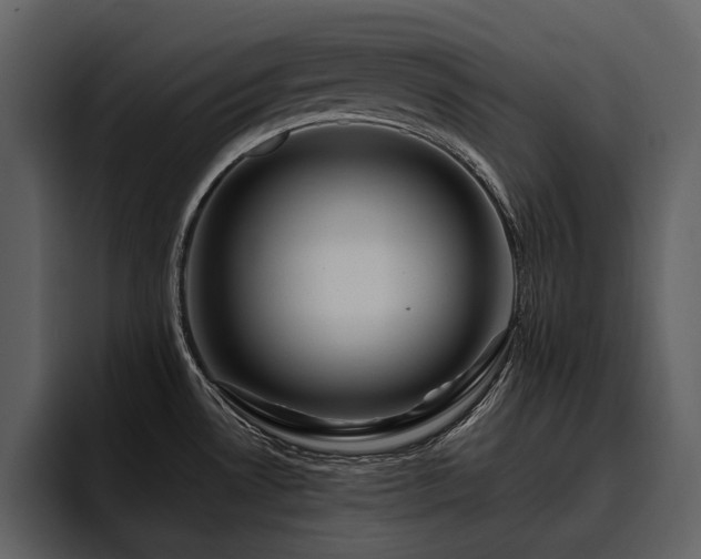 X0000095931530200801111245