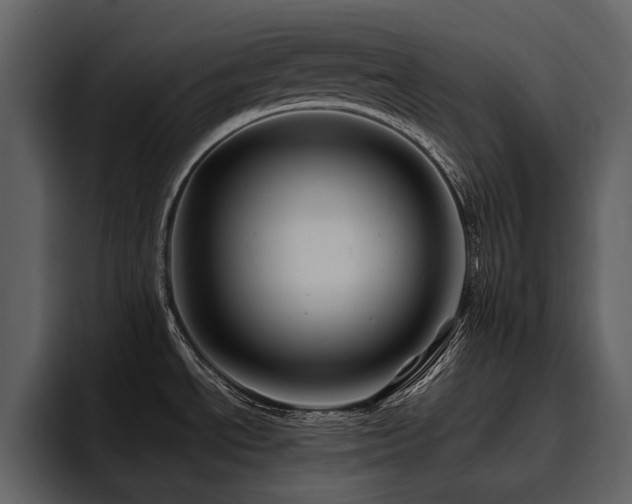 X0000095931534200801111245
