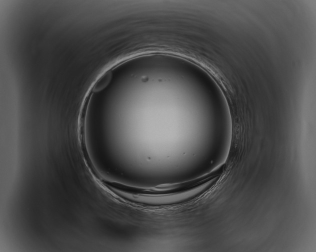 X0000095931535200801111245