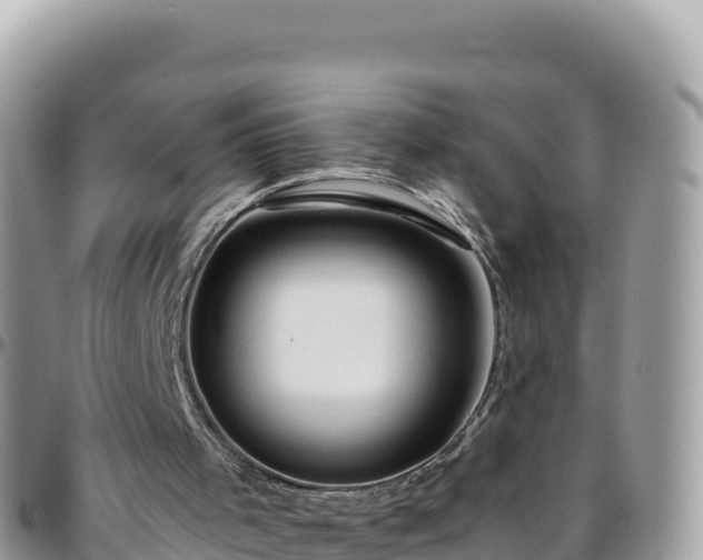 X0000095930001200801181450