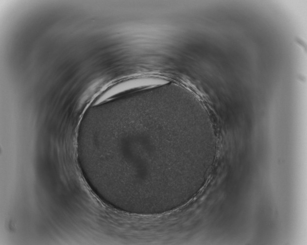 X0000095930002200801181450