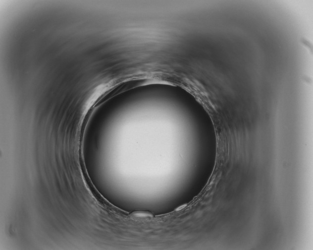 X0000095930003200801181450