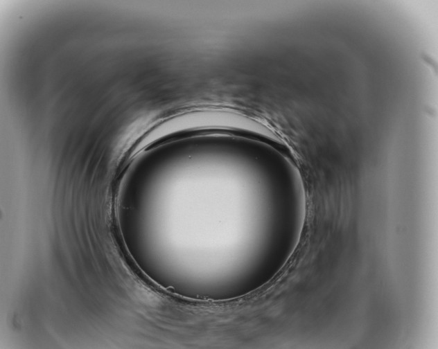 X0000095930005200801181450