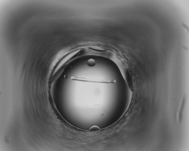 X0000095930006200801181450