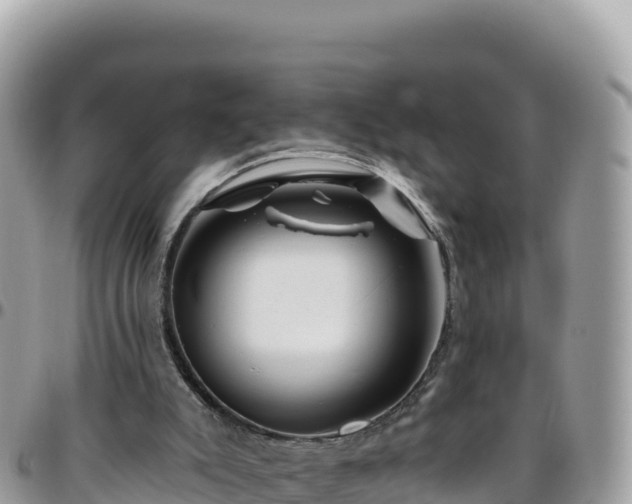 X0000095930007200801181450