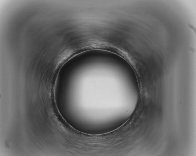 X0000095930010200801181450