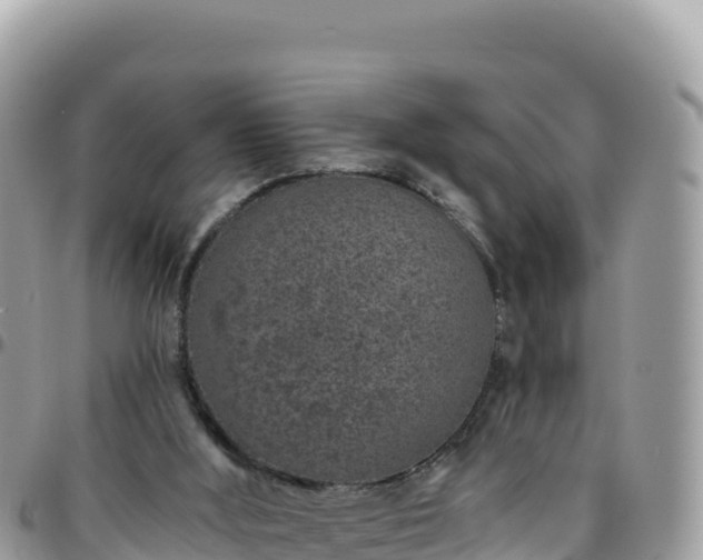 X0000095930012200801181450