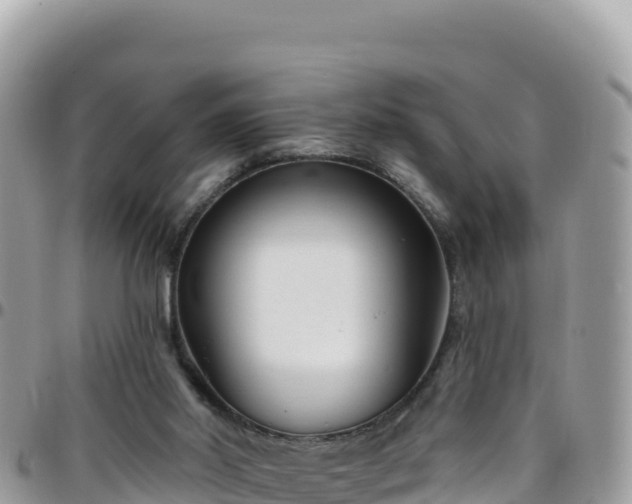 X0000095930014200801181450