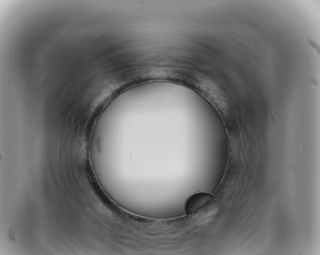 X0000095930016200801181450