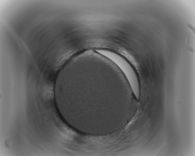 X0000095930017200801181450